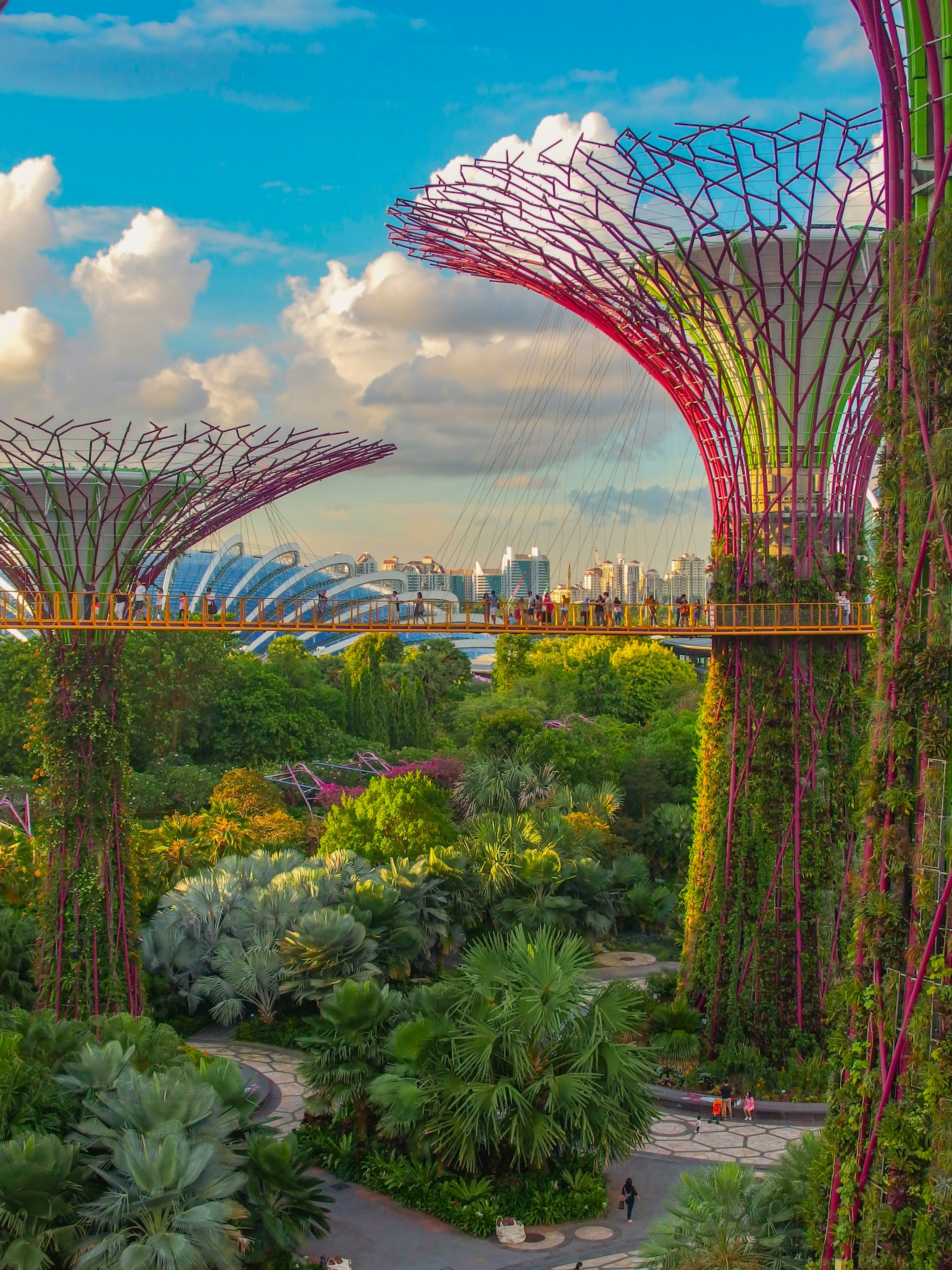 Singapore’s lush Gardens by the Bay